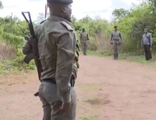 Mosambik: Über 600 IS-Geiseln befreit