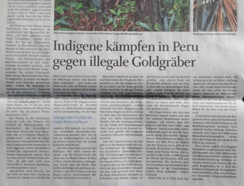 Salzburger Nachrichten – Steigender Goldpreis: Indigene in Peru kämpfen gegen die illegalen Schürfer