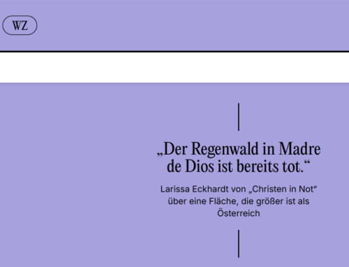 Wiener Zeitung – Illegale Goldsucher zerstören den Amazonas